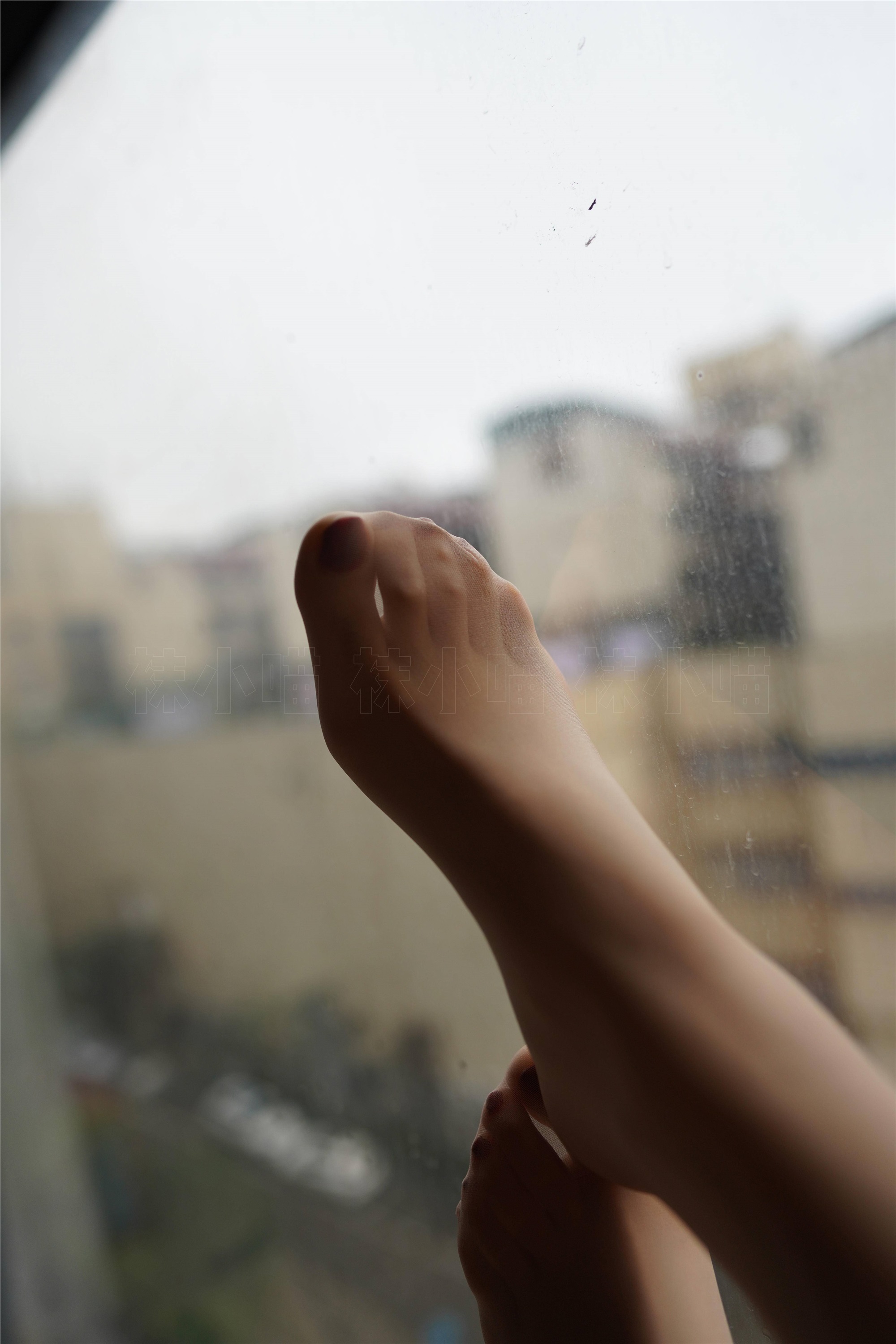 kittyWawa袜小喵  KT284 窗台